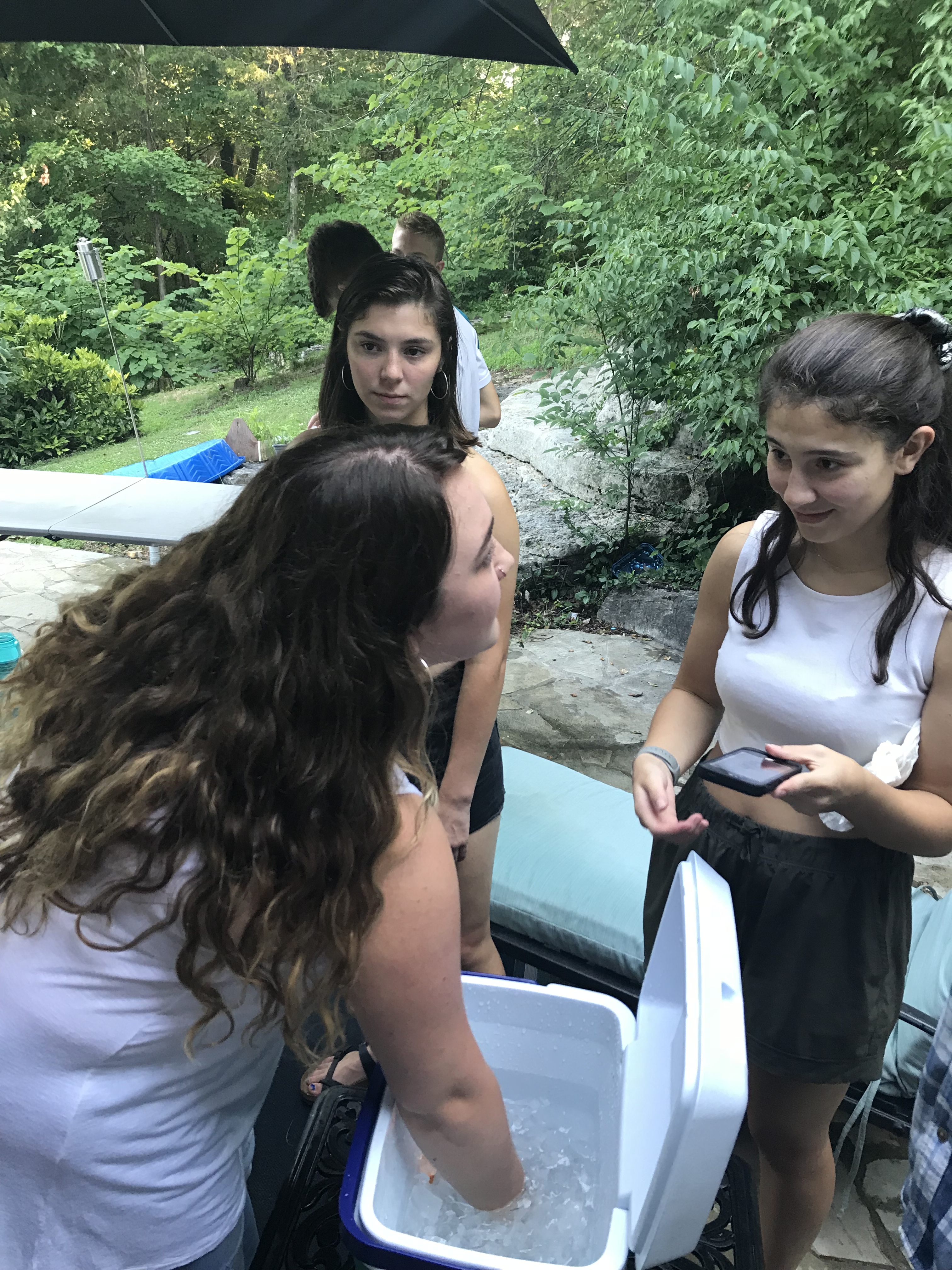 369f73fd-3b53-4137-adc4-4958efb6048e