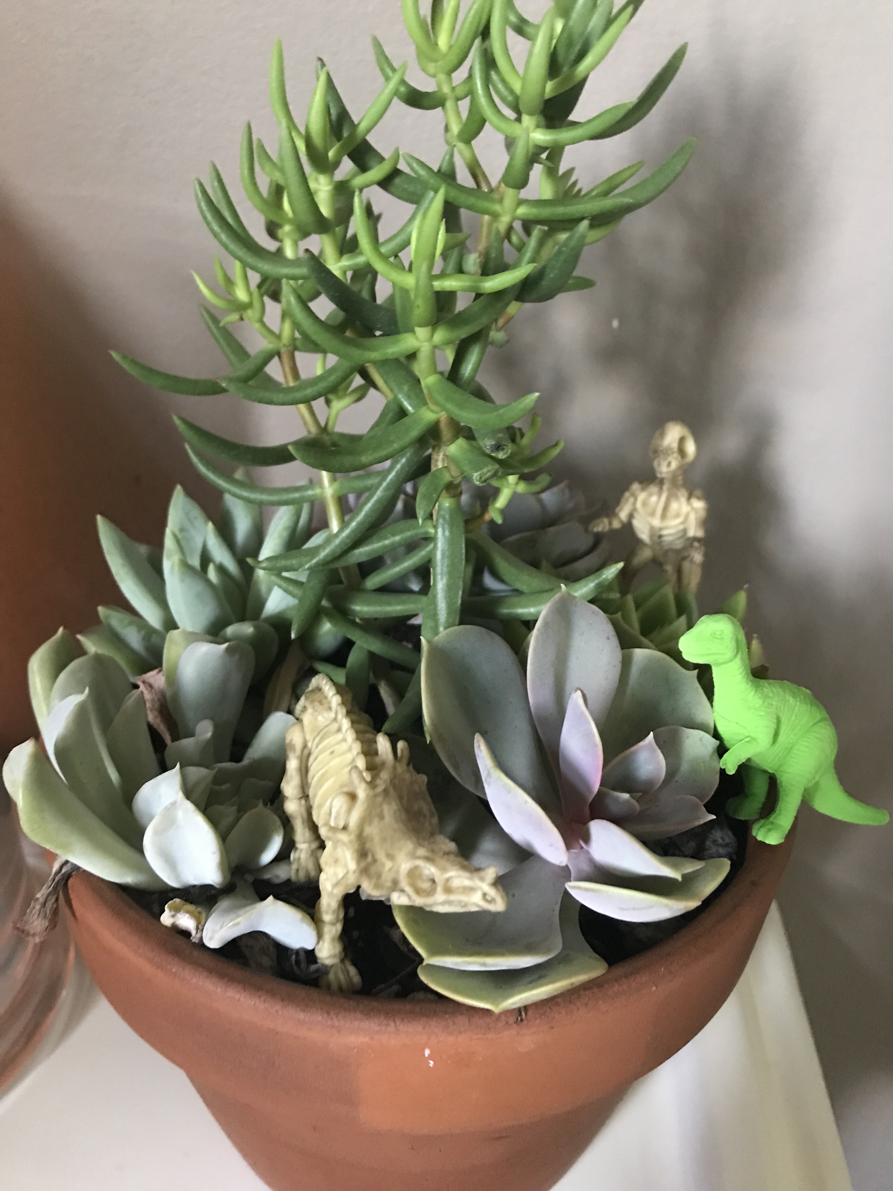 537b0079-a038-4cb1-bc3c-b07f9b5fd4a8