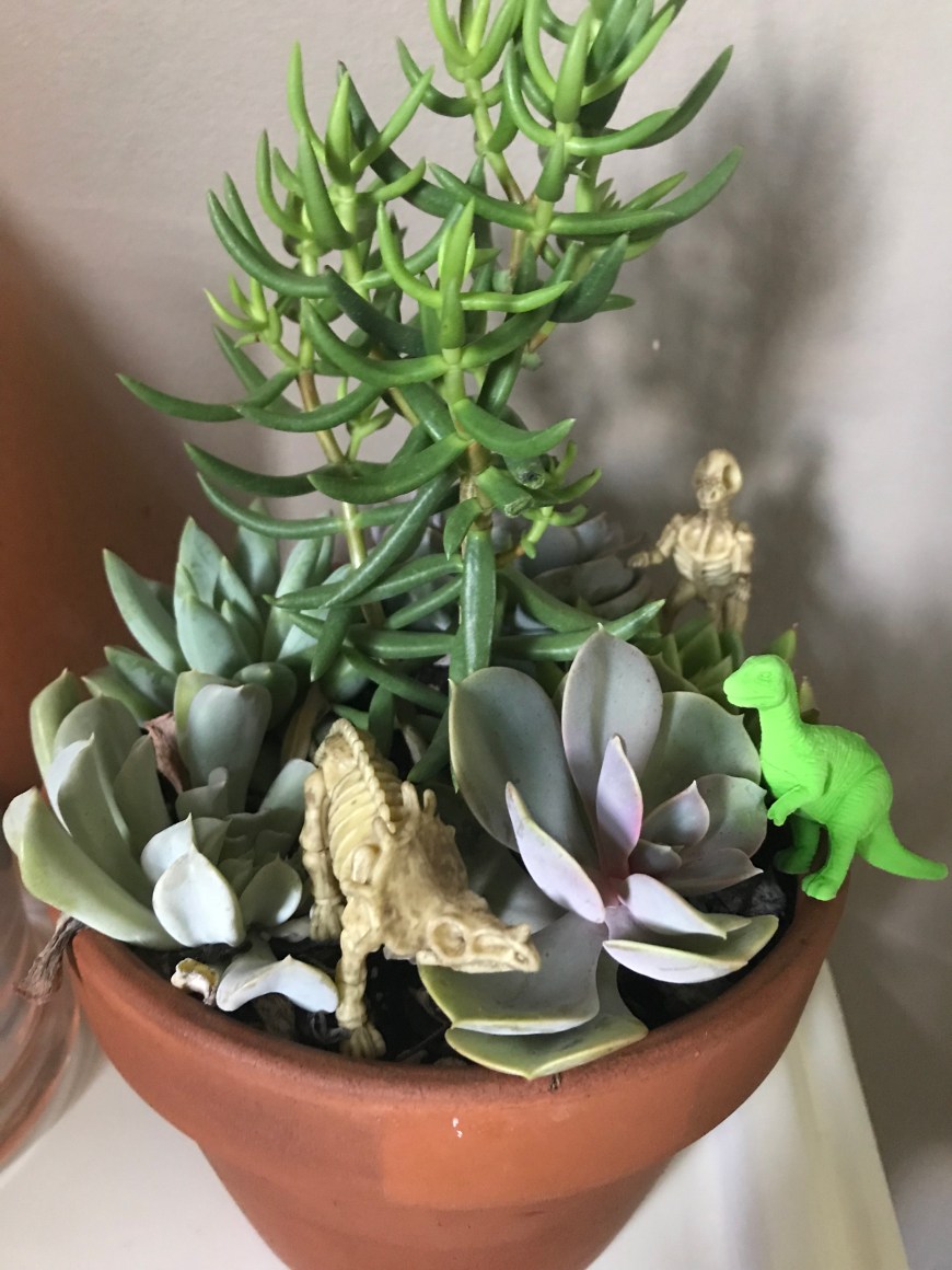 537b0079-a038-4cb1-bc3c-b07f9b5fd4a8