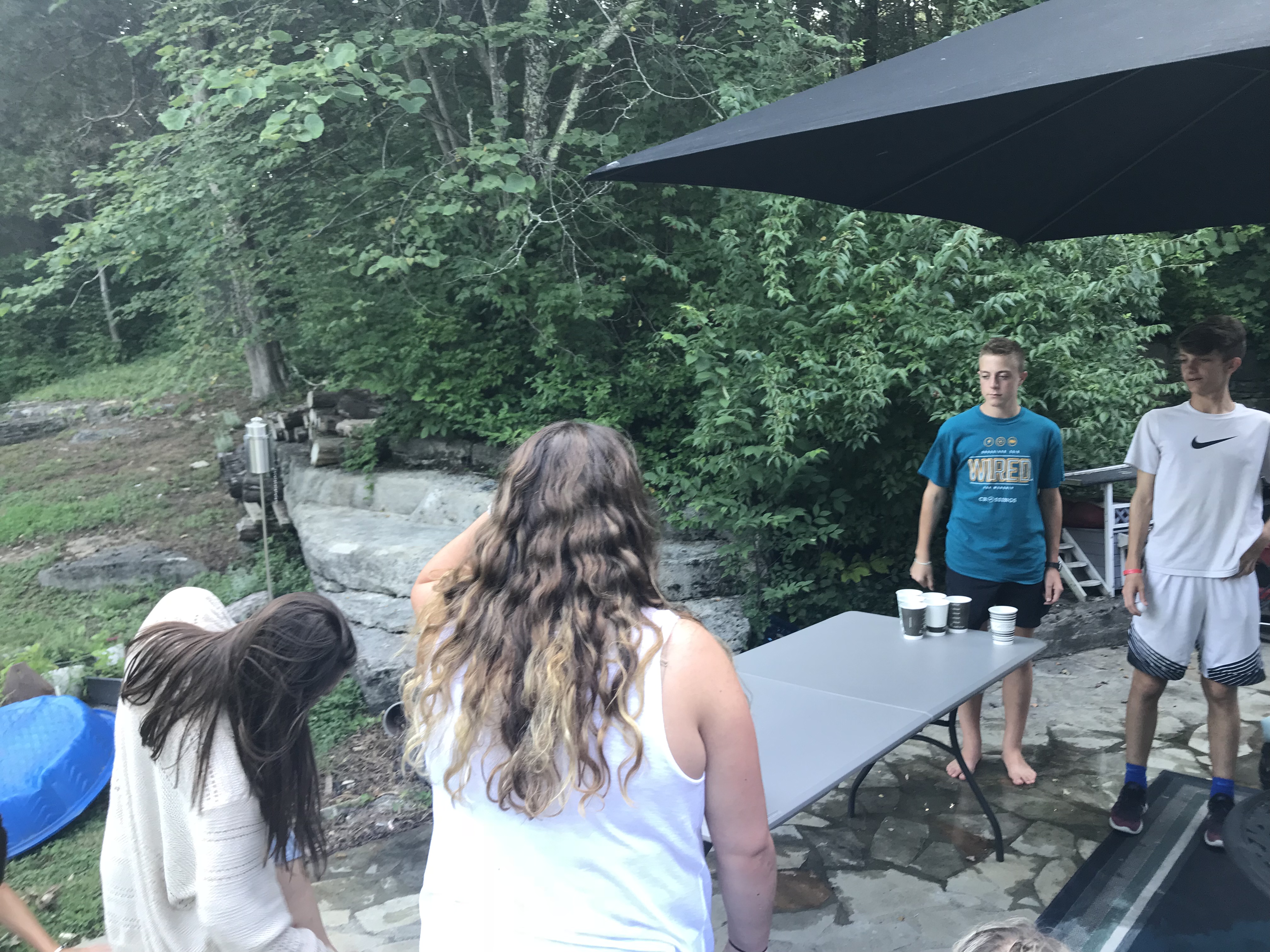 d334506c-e657-4c28-a2f6-472529724bb7