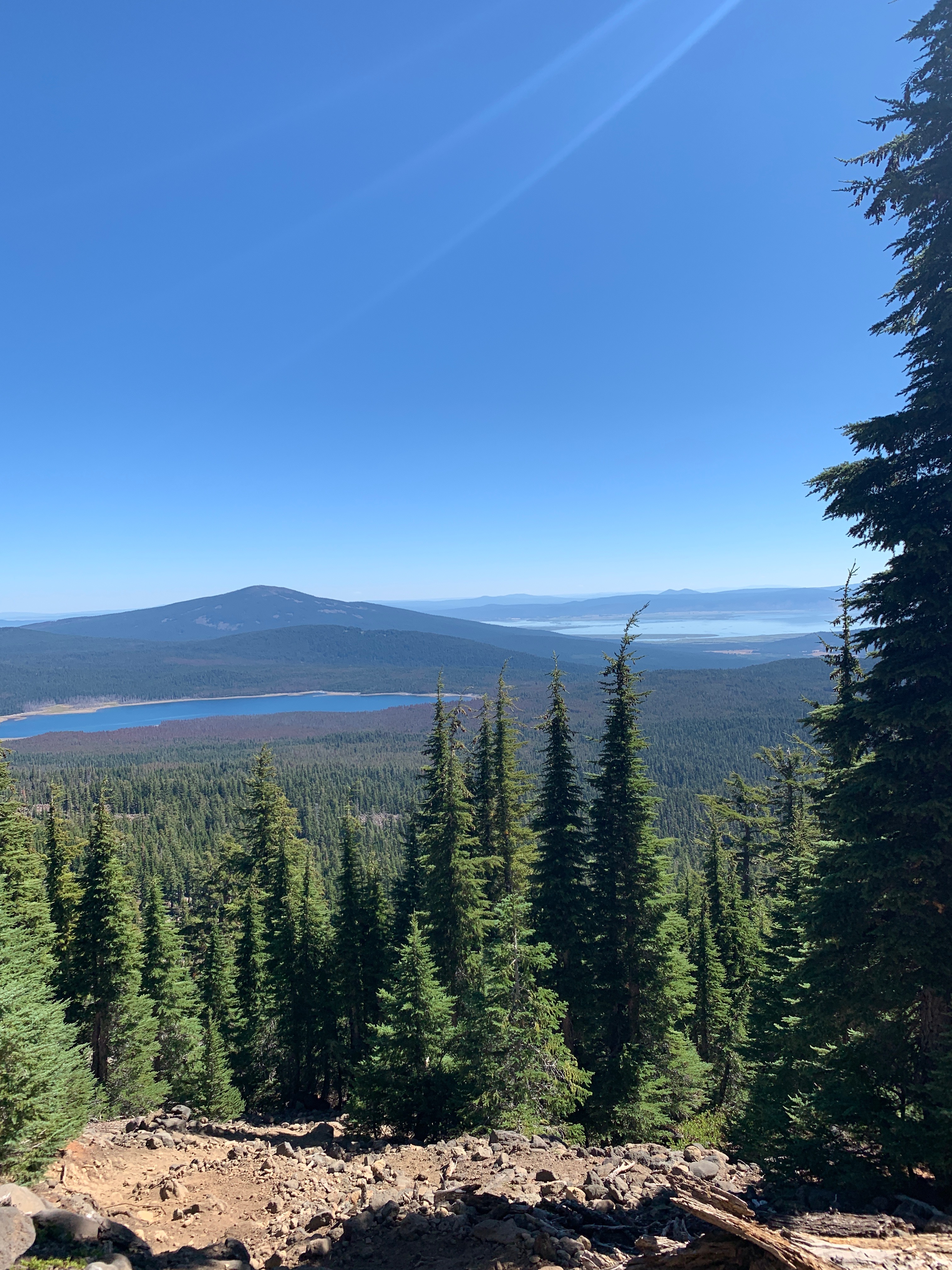 22D0B3E1-98C6-4C3F-B89C-08C7AED9CD4E