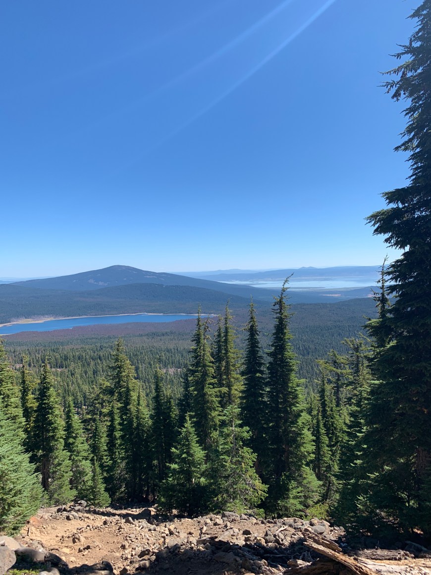 22D0B3E1-98C6-4C3F-B89C-08C7AED9CD4E