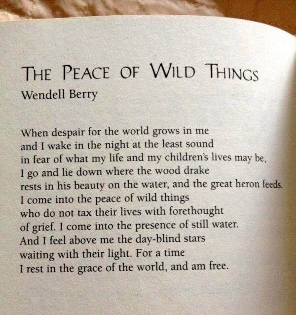 AB4BA809-831B-4699-A575-A599D12D64EB